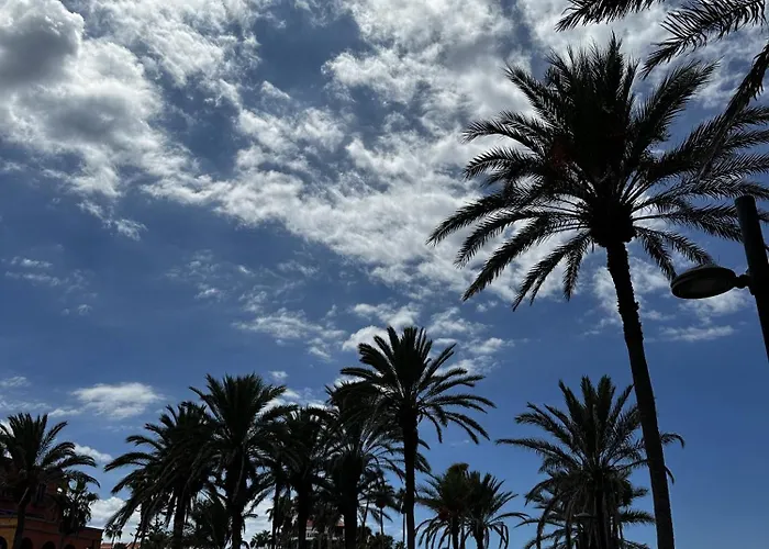 Oceanside Escape 公寓